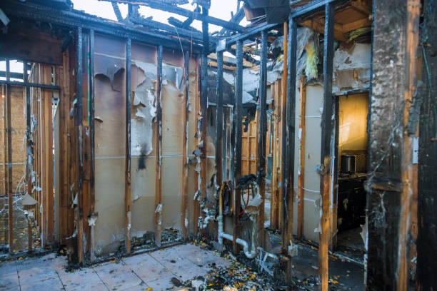 Professional Smoke Damage Removal technician working in Boiling Springs, PA